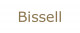 bissell na Handlujemy pl
