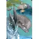 Worth Keeping Mini Kartka 3D Delfin 