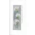  Karnet Imieniny I 03 - Białe Kwiaty 