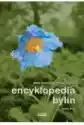Encyklopedia Bylin T.2